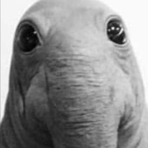 Meet your Posher, Phil